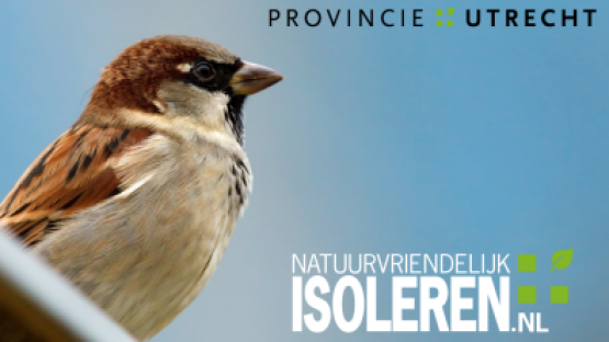 Gratis training Natuurvriendelijk isoleren
